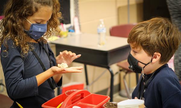 Students make a fossil in a cup